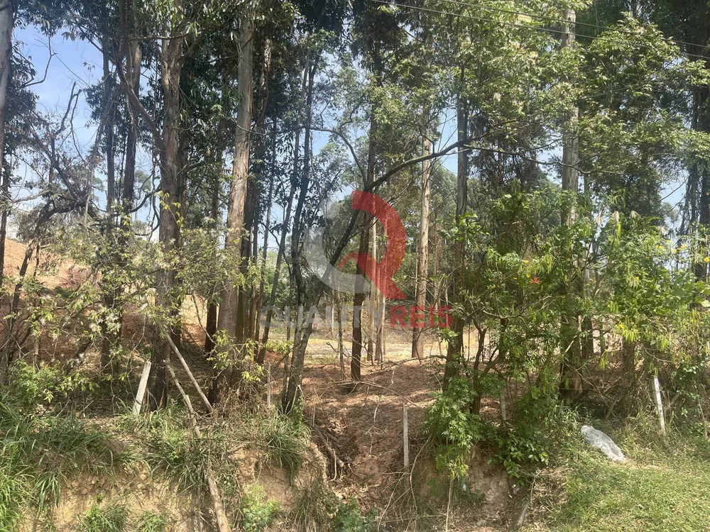 Terreno, 4 hectares - Foto 12