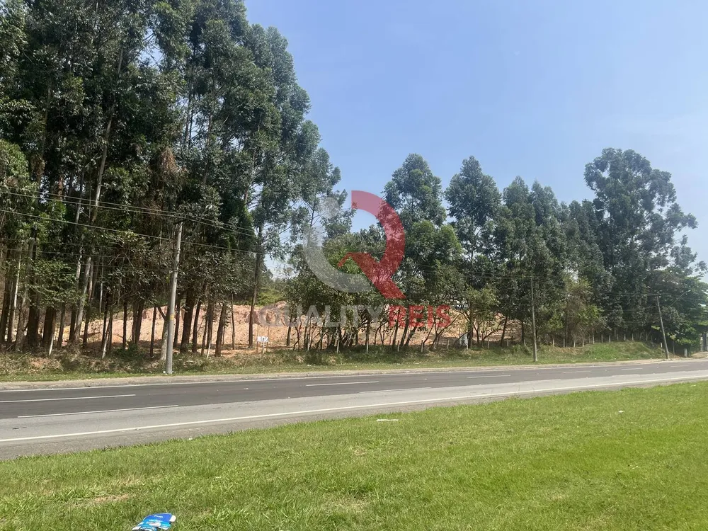 Terreno, 4 hectares - Foto 12