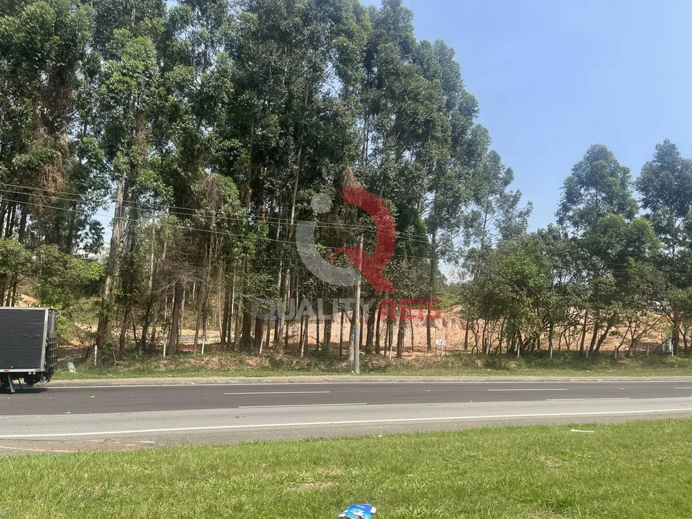 Terreno, 4 hectares - Foto 9