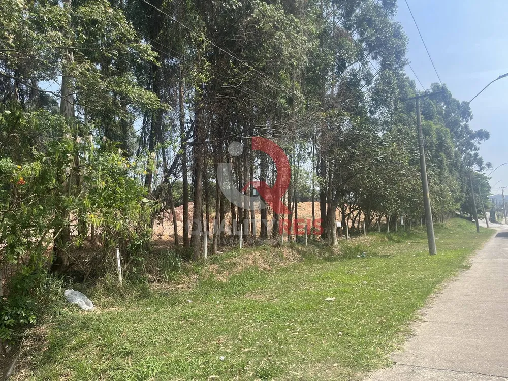 Terreno, 4 hectares - Foto 10