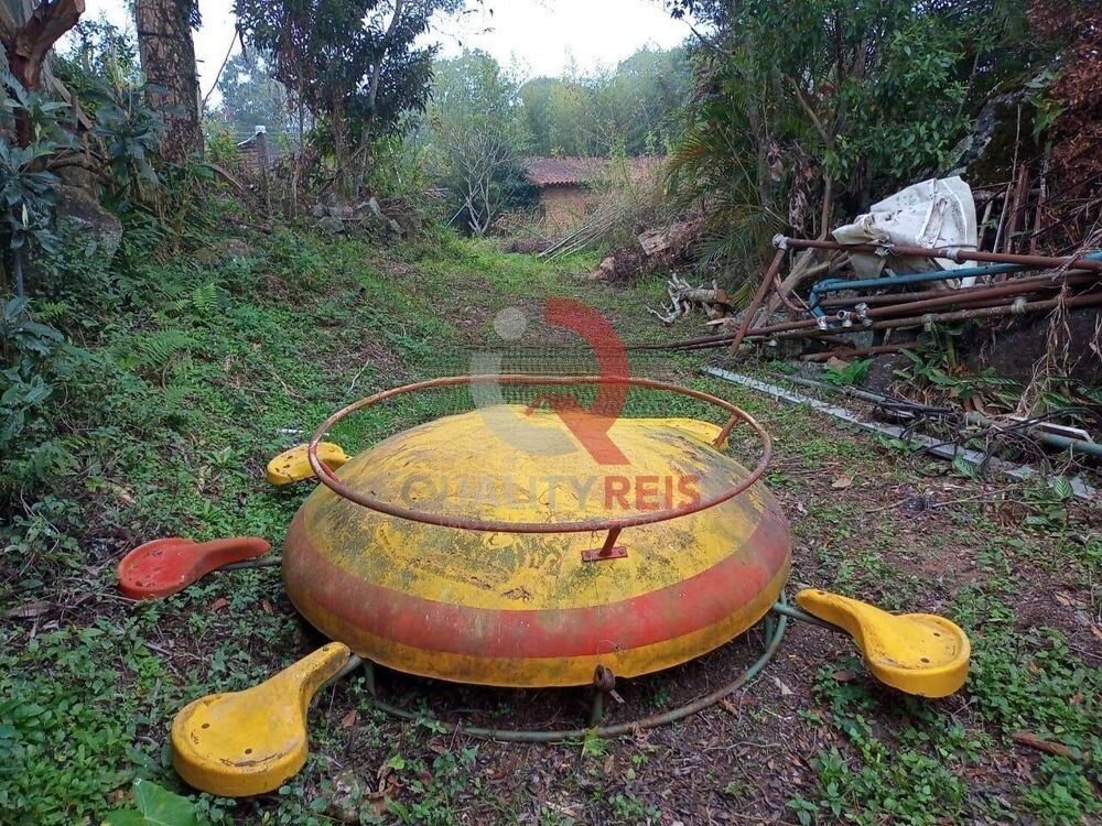 Chácara, 1 quarto, 3060 m² - Foto 2