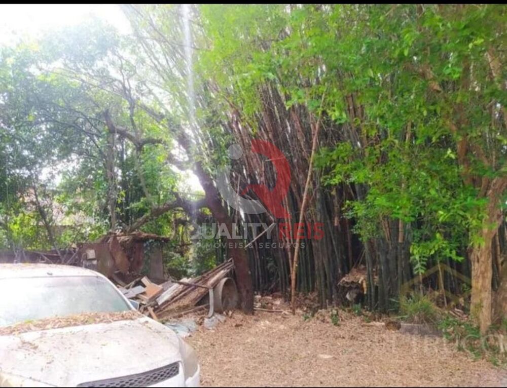 Loteamento e Condomínio, 3000 m² - Foto 3
