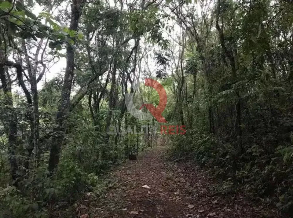 Chácara, 3 quartos - Foto 7