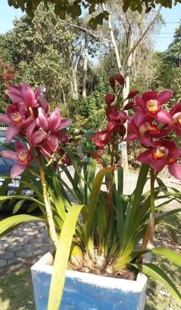 Chácara, 3 quartos - Foto 5