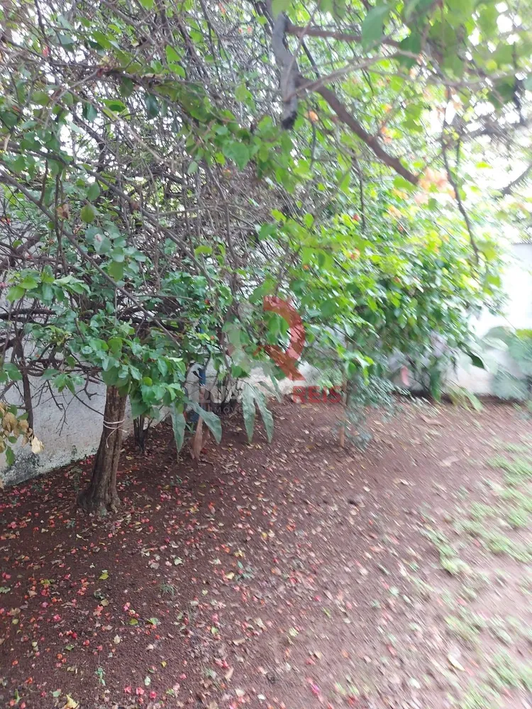 Casa, 3 quartos, 347 m² - Foto 9