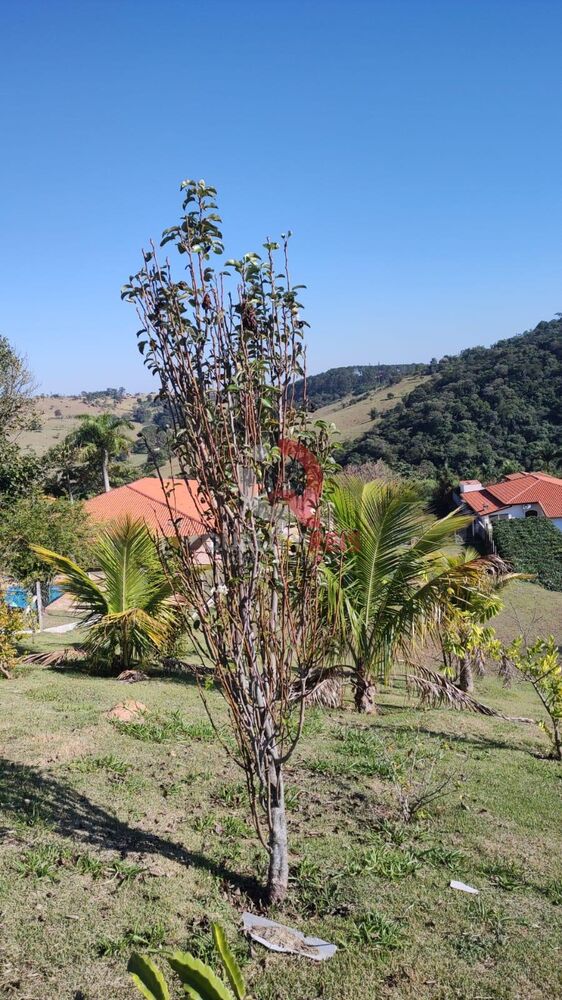 Terreno à venda, 1181m² - Foto 1