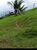 Terreno, 1181 m² - Foto 3