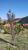 Terreno, 1181 m² - Foto 1