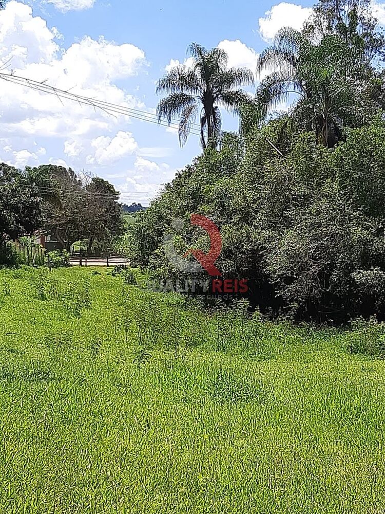 Chácara, 6 quartos, 2400 m² - Foto 6