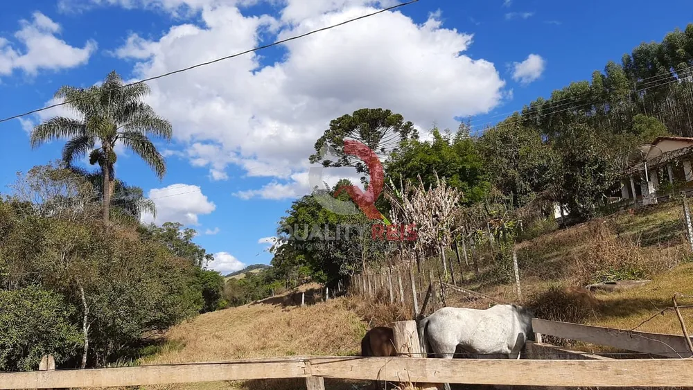 Chácara, 6 quartos, 2400 m² - Foto 5