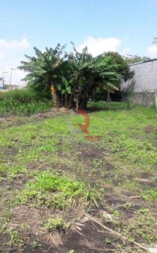 Terreno, 6000 m² - Foto 7