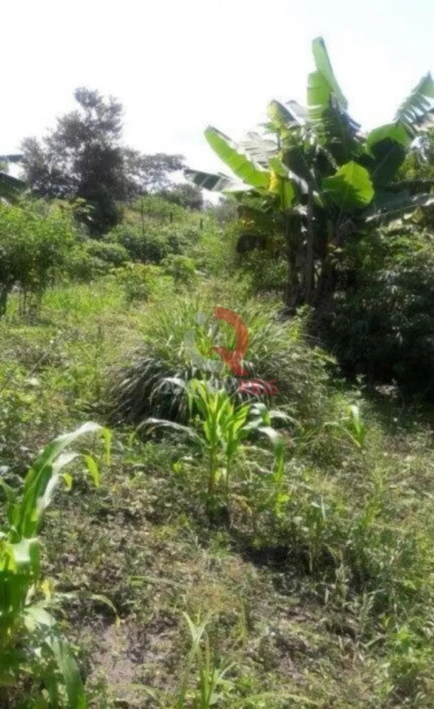 Terreno, 6000 m² - Foto 5