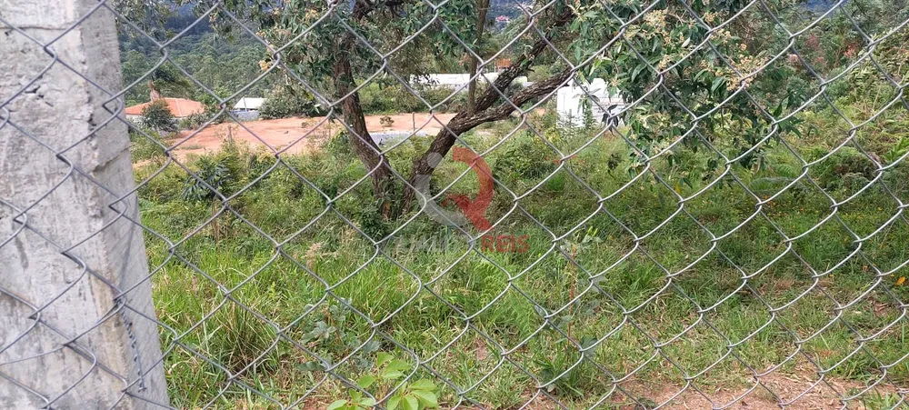Chácara, 3 quartos, 1800 m² - Foto 23