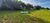 Terreno, 1000 m² - Foto 5