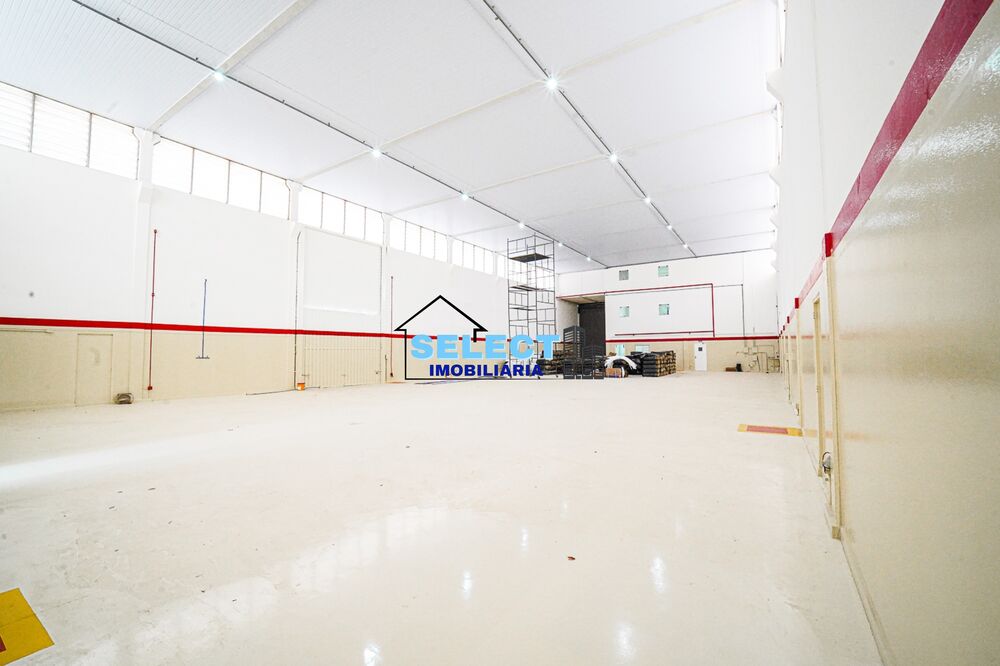 Imóvel Comercial, 1080 m² - Foto 15