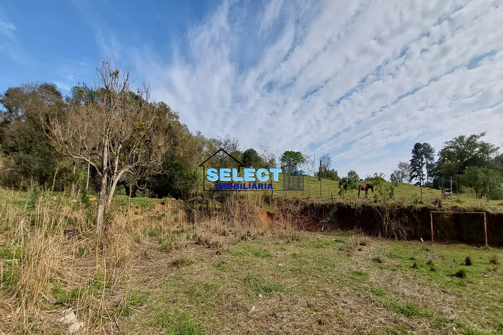 Terreno, 6 hectares - Foto 12