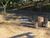 Terreno, 550 m² - Foto 8