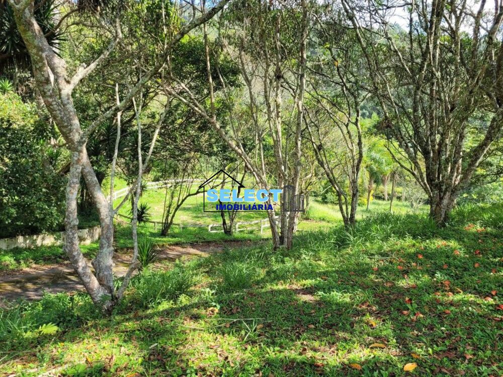 Fazenda, 11 hectares - Foto 3