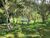 Fazenda, 11 hectares - Foto 1