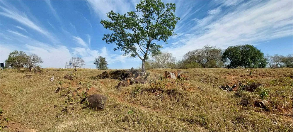 Terreno, 230000 m² - Foto 3