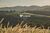 Terreno, 1585 m² - Foto 6