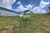 Terreno, 317 m² - Foto 3