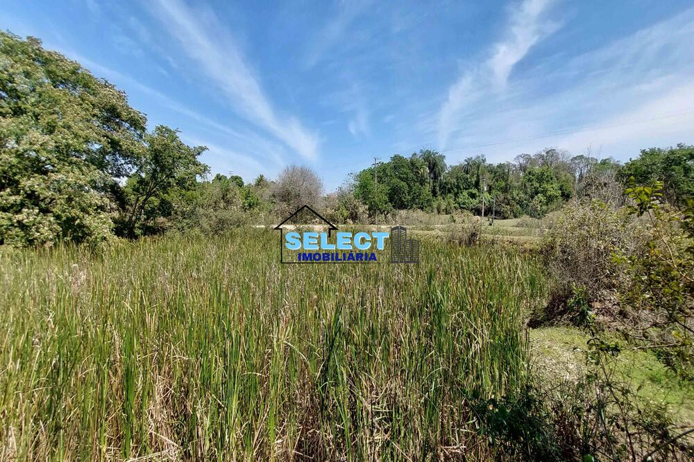 Terreno, 7 hectares - Foto 3