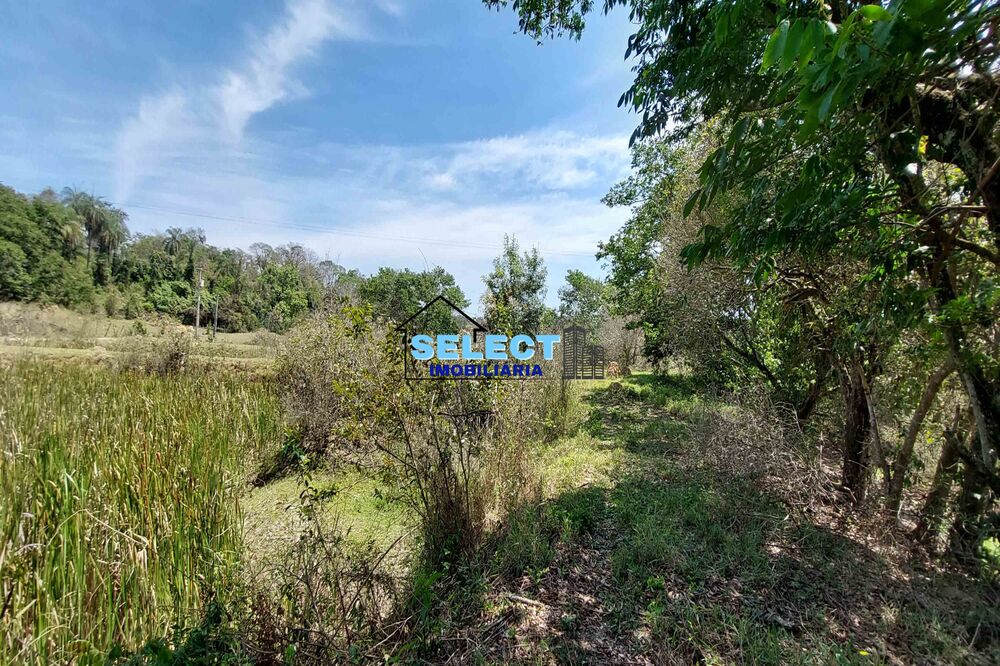 Terreno, 7 hectares - Foto 4