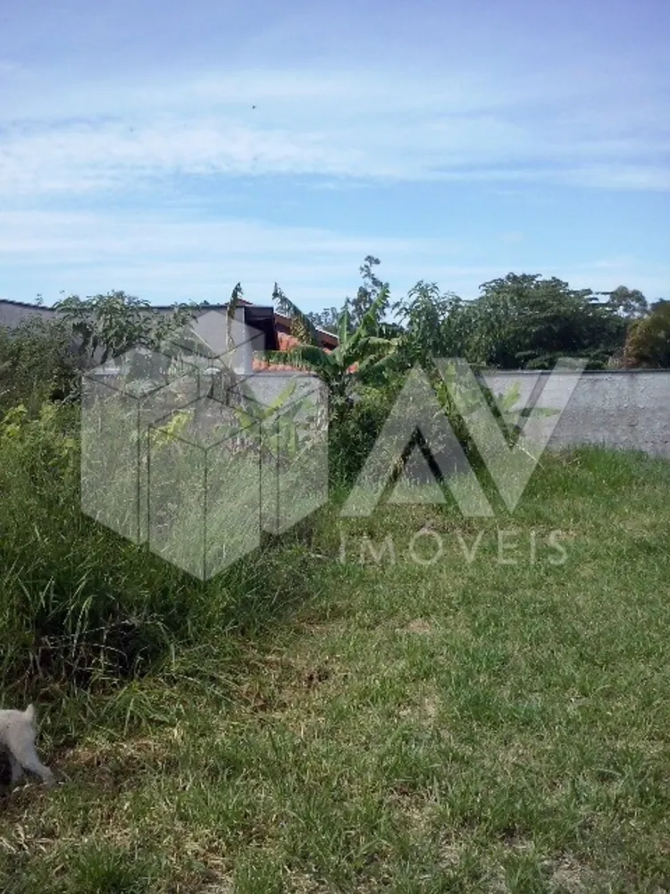Terreno - Foto 4