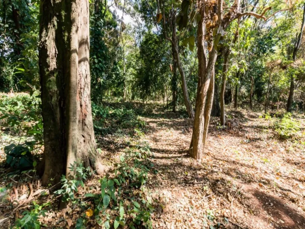 Terreno, 2042 m² - Foto 2