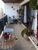 Apartamento, 3 quartos, 127 m² - Foto 4