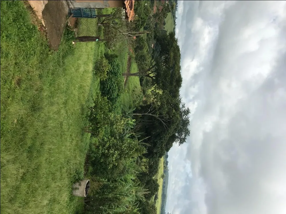 Fazenda, 106 hectares - Foto 4