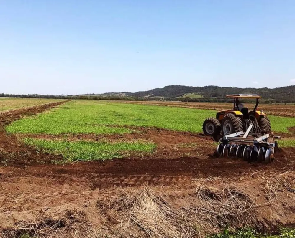 Fazenda, 1000 m² - Foto 9