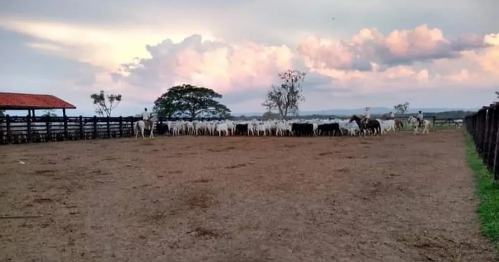 Fazenda, 1000 m² - Foto 2