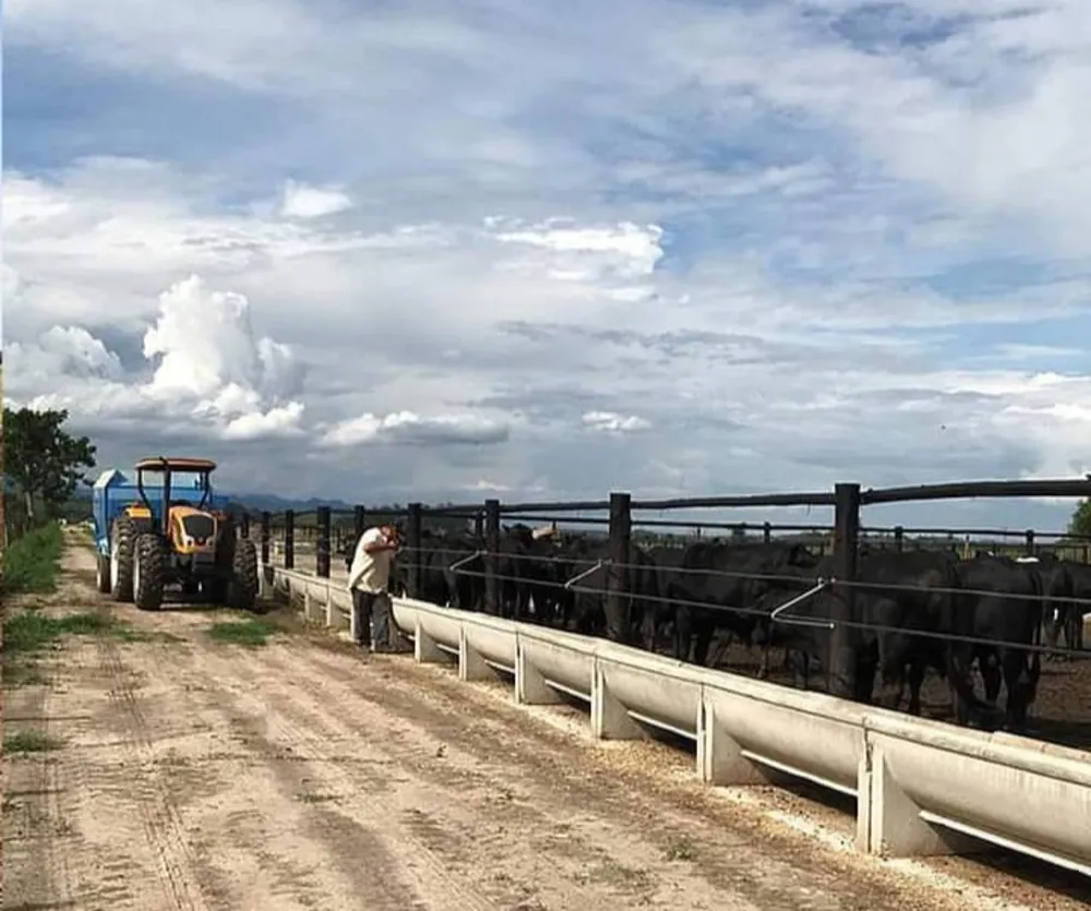 Fazenda, 1000 m² - Foto 7