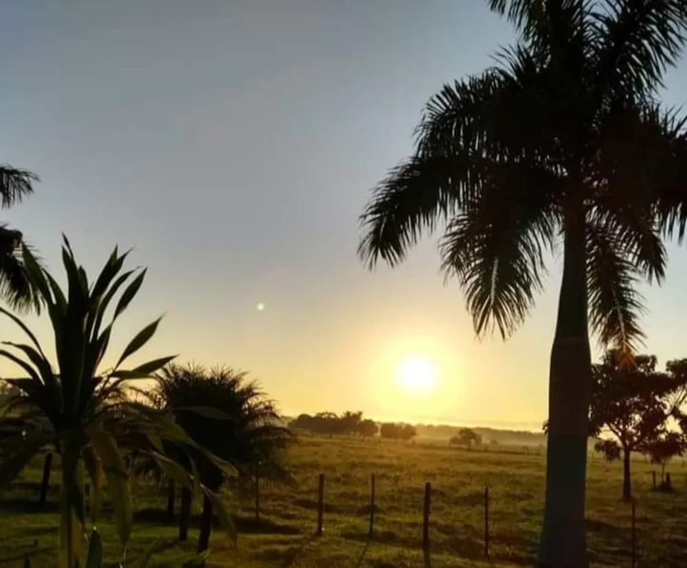 Fazenda, 1000 m² - Foto 4