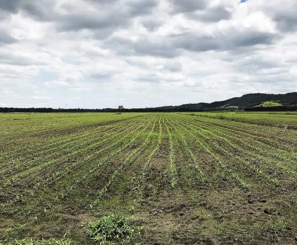 Fazenda, 1000 m² - Foto 19
