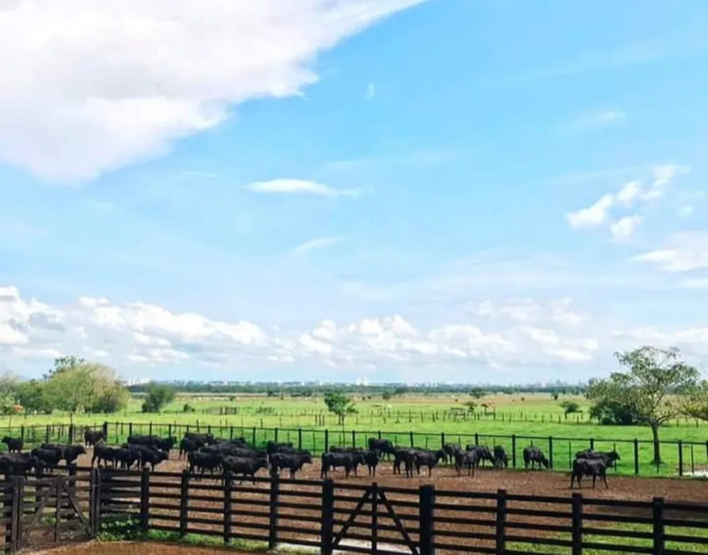 Fazenda, 1000 m² - Foto 8