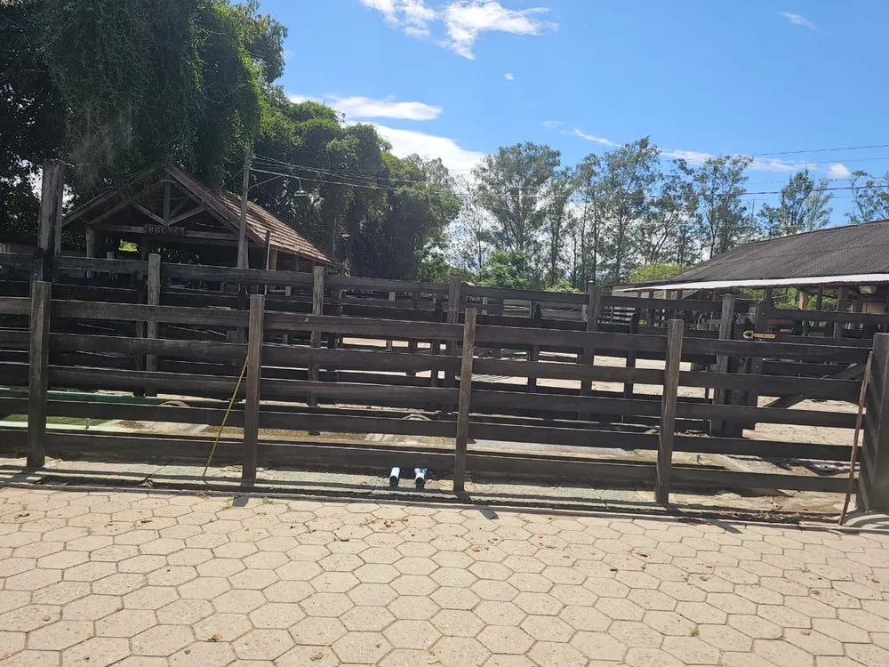 Fazenda, 363 m² - Foto 4