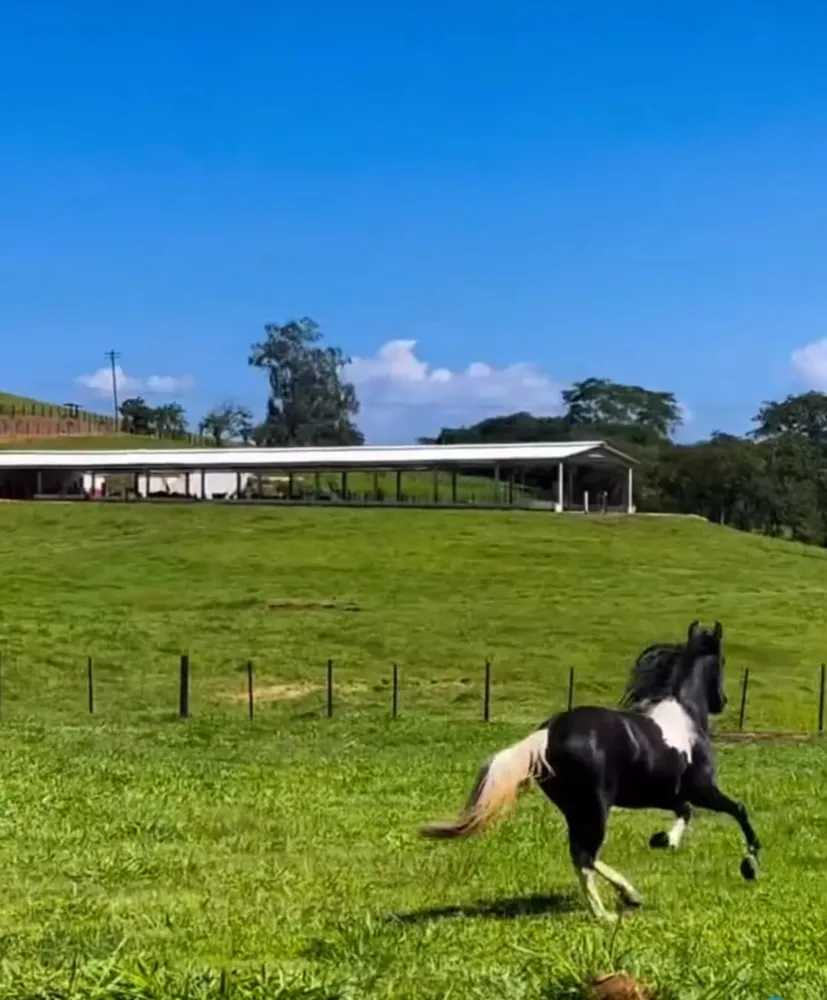 Fazenda, 799 m² - Foto 37