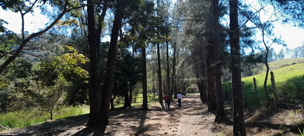 Fazenda, 799 m² - Foto 8