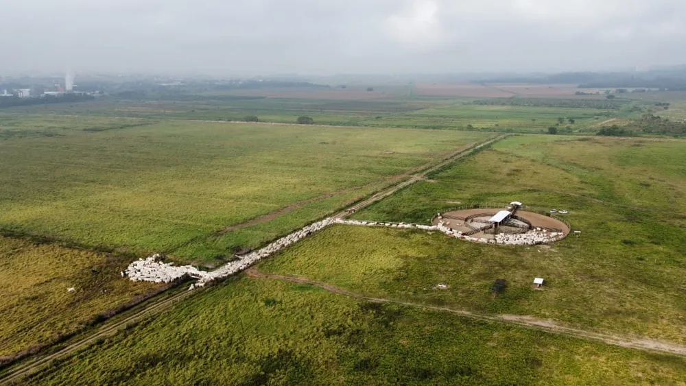 Fazenda, 421 m² - Foto 7