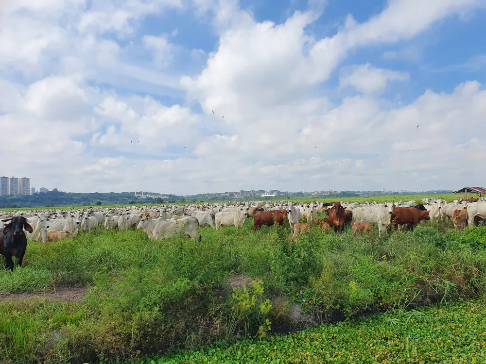 Fazenda, 421 m² - Foto 9