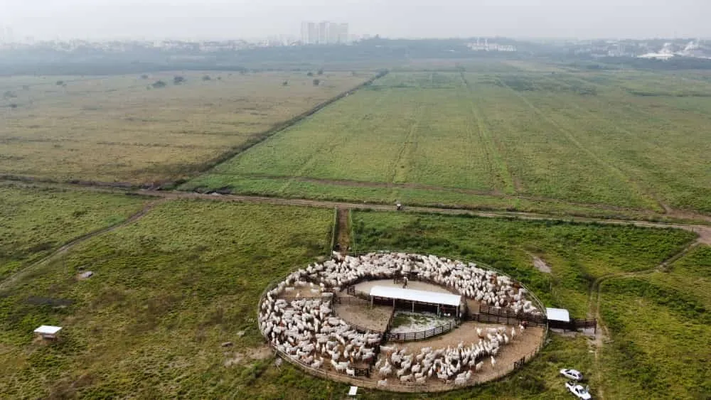 Fazenda, 421 m² - Foto 5
