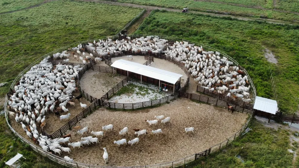 Fazenda, 421 m² - Foto 1