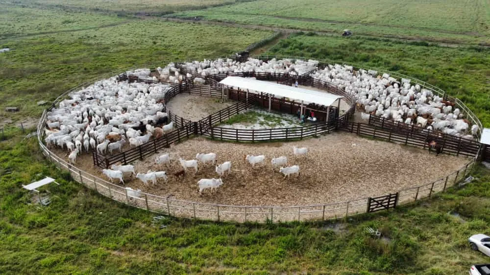 Fazenda, 421 m² - Foto 2