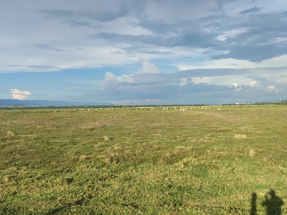Fazenda, 174 m² - Foto 14