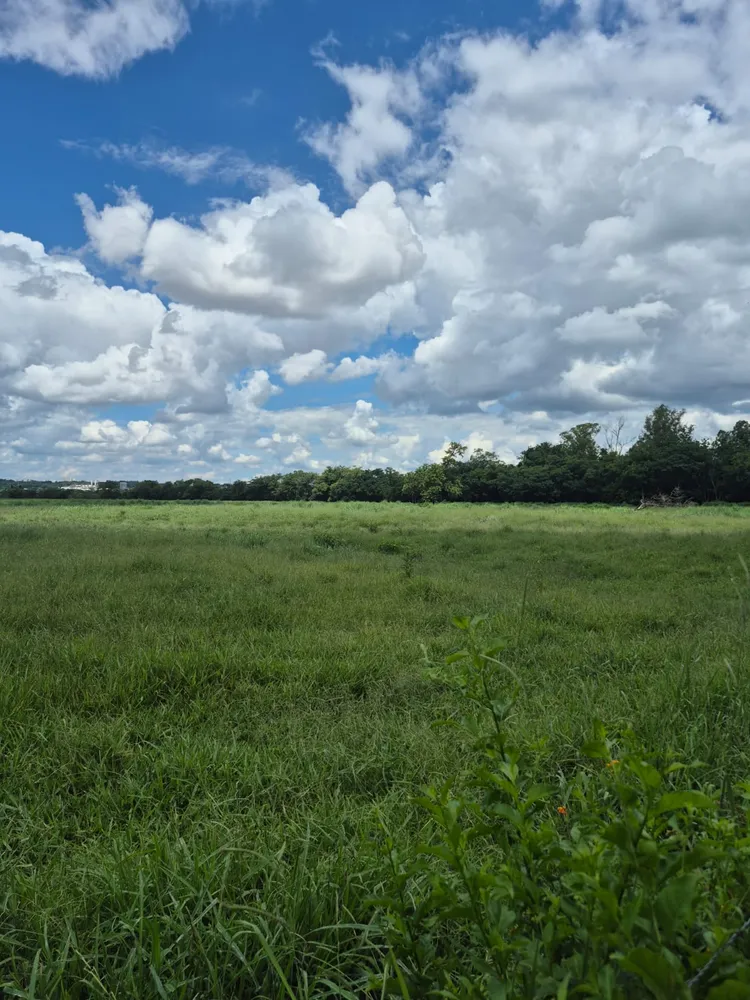 Fazenda, 174 m² - Foto 19