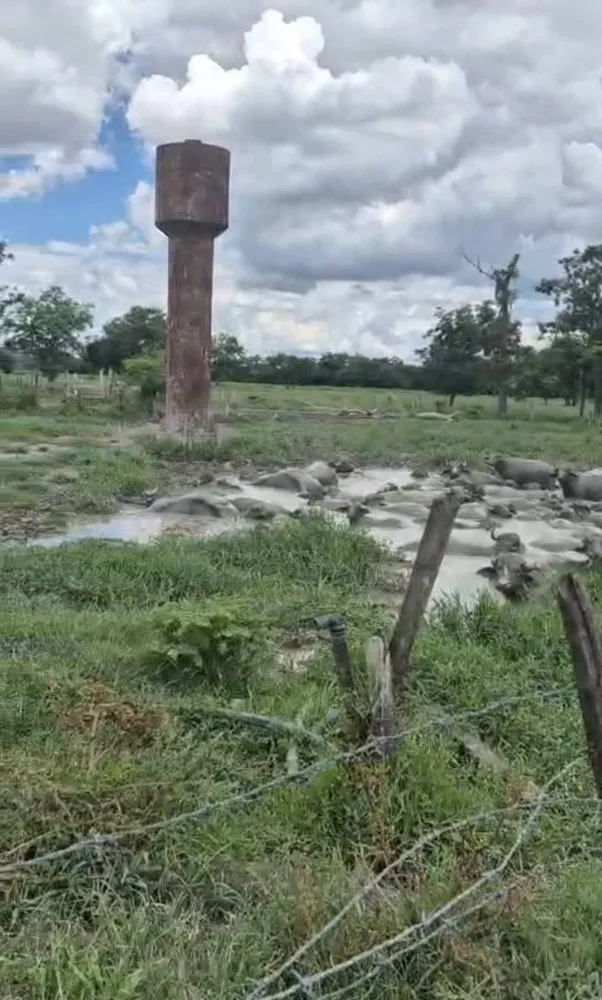Fazenda, 174 m² - Foto 8