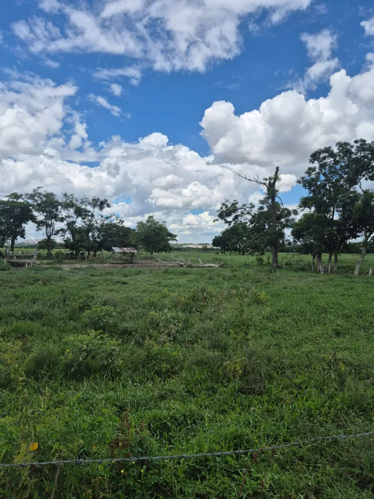 Fazenda, 174 m² - Foto 10